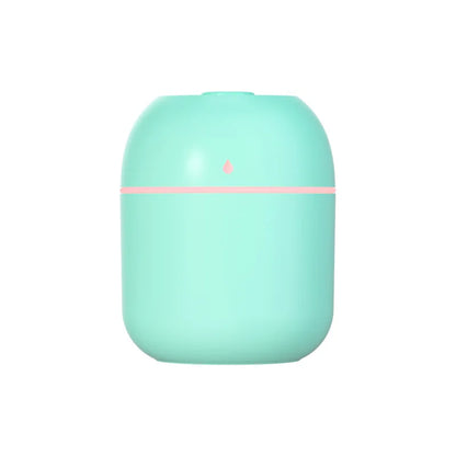 Portable 220ml H2o Mini Cup Spray Mist humidifier Double Wet Aroma Essential Oil Diffuser Car usb air humidifier