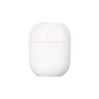 Portable 220ml H2o Mini Cup Spray Mist humidifier Double Wet Aroma Essential Oil Diffuser Car usb air humidifier